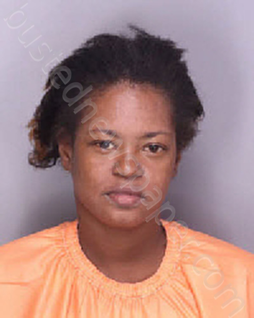 NESMITH, FELICIA ELIZABETH #, Florence County, South Carolina - 2025-07-03 22:42:00