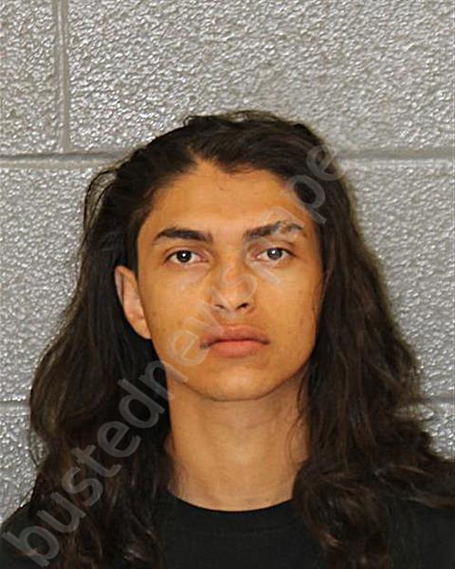 CONTRERAS-AVILA, KELVIN ALEXIS #, Mecklenburg County, North Carolina - 2025-07-04 00:59:00