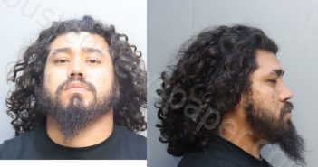 ARIAS, DENNIS ALEJANDRO | 2025-07-04 05:28:00 Miami-Dade County, Florida Booking