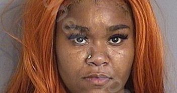 MAMIE ALEXANDREA DAVIS | 2025-07-04 Osceola County, Florida Booking
