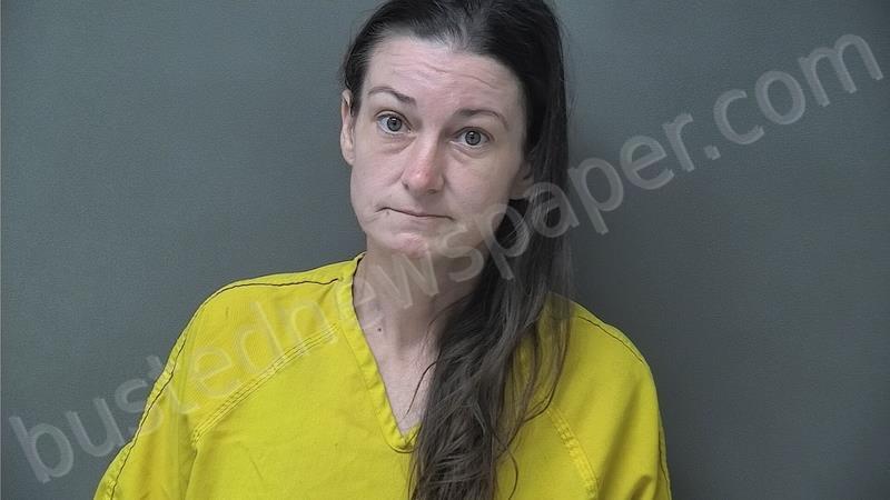 WEAVER, TARA ELIZABETH #, Howard County, Indiana - 2025-07-04 18:28:00