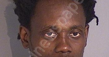 RUBENS DESSOURCES | 2025-07-05 Osceola County, Florida Booking