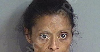 CLAUDIA MARIA DIAZ | 2025-07-05 Osceola County, Florida Booking