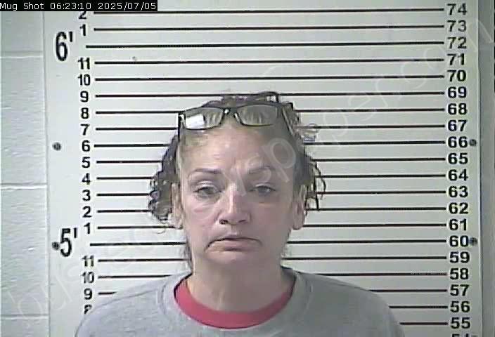 Hollin, Cari Lyn | 2025-07-05 07:00:00 Hardin County, Kentucky Booking