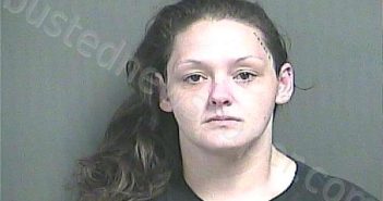 WAUGH, MARISSA CAROL | 2025-07-06 07:56:00 Knox County, Indiana Booking