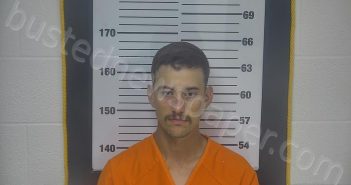 REAGAN, ANDREW JAMES | 2025-07-06 13:20:00 Ottawa County, Ohio Booking