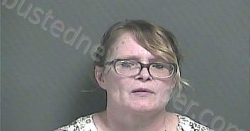 COX, APRIL DAWN | 2025-07-06 18:37:00 Knox County, Indiana Booking