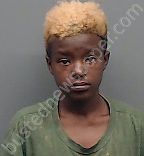 JOHNSON, SHAYLA MICHELLE #, Smith County, Texas - 2025-07-06