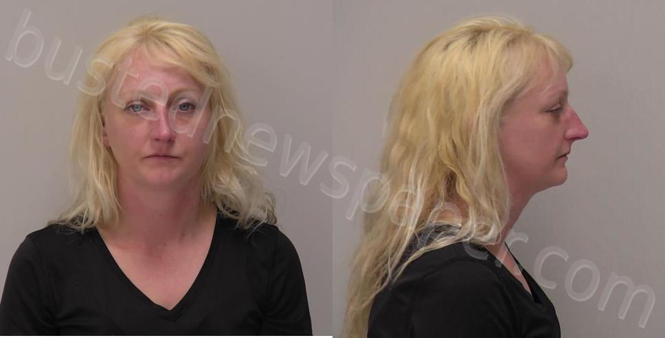 Ridgeway, Ceceila Kaye | 2025-07-07 16:28:00 Hancock County, Ohio Booking