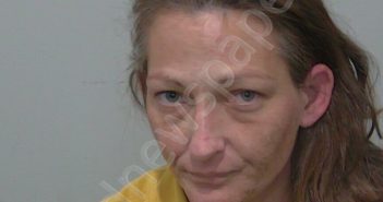 FERRER, MICHELLE CREWS | 2025-07-08 20:49:00 Columbia County, Florida Booking