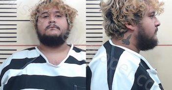 <B>DOMINGUEZ</B>, <B>NATHANIEL</B> JOVANNI #, Parker County, Texas - 2025-07-08