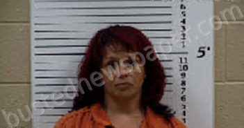 STINCHCOMB, CRISTIN ELISE | 2025-07-08 22:53:00 Cherokee County, North Carolina Booking