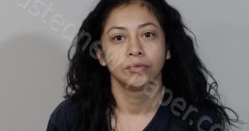 PEREZ, HEYMI | 2025-07-08 00:27:00 Rappahannock Regional Jail, Virginia Booking