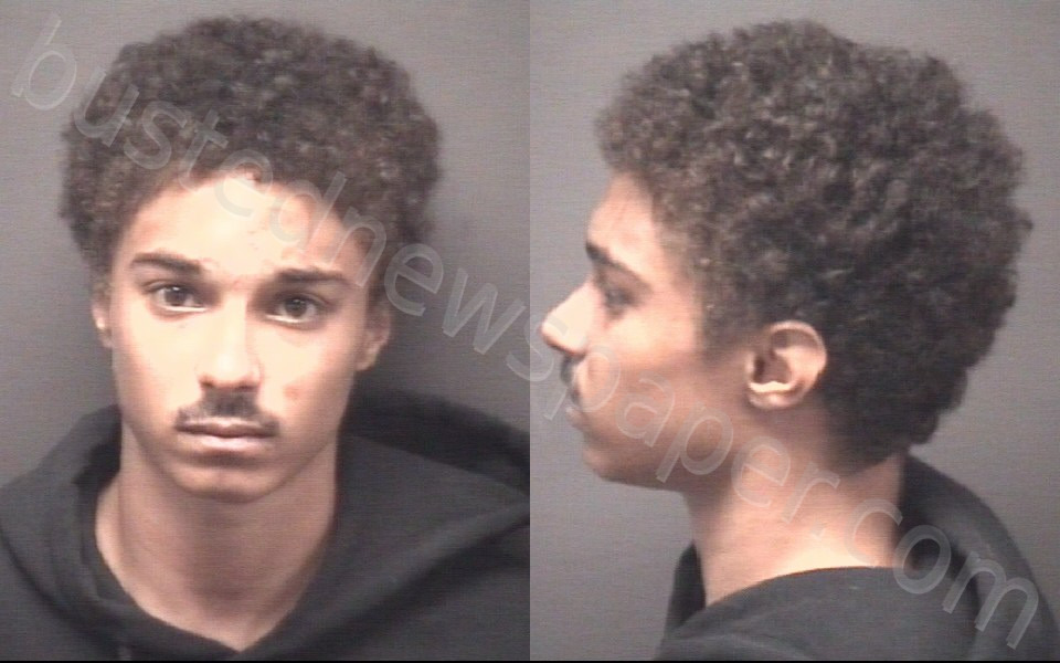 CARRIER-TOWNSEND, DEVIN PAUL #, Pitt County, North Carolina - 2025-07-09