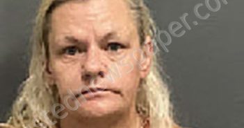 WILKINSON, FRANCES NICHOLE | 2025-07-09 15:30:00 Houston County, Alabama Booking