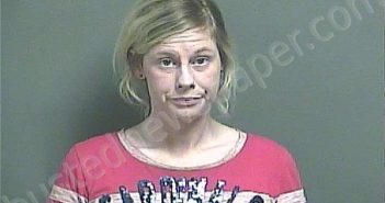 RAVELLETTE, JESSICA LEE | 2025-07-09 01:14:38 Knox County, Indiana Booking