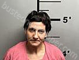SCHRINER, JENNIFER MARIE #, Benton County, Arkansas - 2025-07-10