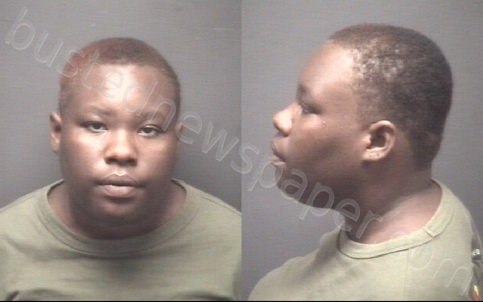 ROGERS-SIMPSON, JANYRA SHANA #, Pitt County, North Carolina - 2025-07-10