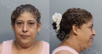 DIAZ, WILMA XIOMARA | 2025-07-11 19:14:00 Miami-Dade County, Florida Booking