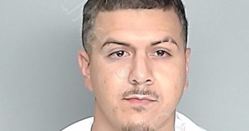 CASTILLO, RAMON | 2025-07-11 01:33:00 Nueces County, Texas Booking