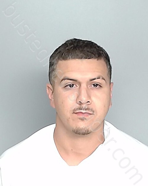 CASTILLO, RAMON #, Nueces County, Texas - 2025-07-11 01:33:00