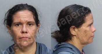 FERRO, YANELI | 2025-07-11 18:25:00 Miami-Dade County, Florida Booking