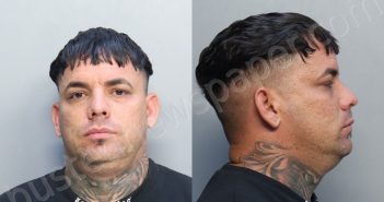 ROCHEESPINO, MARCEL | 2025-07-11 11:04:00 Miami-Dade County, Florida Booking