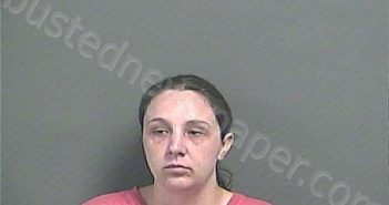 HOLLAND, CHEYENNE ELIZABETH | 2025-07-11 16:42:55 Knox County, Indiana Booking