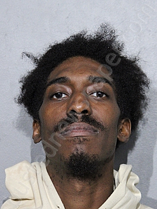 LAMONT M SMITH #, Chicago, Illinois - 2025-07-11