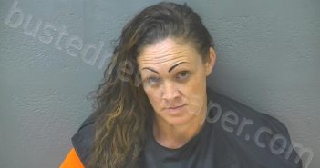 SMITH, JENNIFER LYN | 2025-07-11 14:20:00 Lynchburg, Virginia Booking