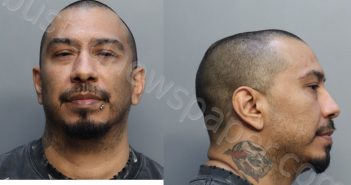 RAMIREZ, ANDY DANIEL | 2025-07-11 05:24:00 Miami-Dade County, Florida Booking