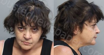 MORI, CYNTHIA RENEE | 2025-07-11 06:10:00 Miami-Dade County, Florida Booking