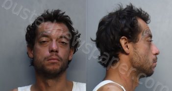 RIVERA, RUBIN DELUIS | 2025-07-11 12:19:00 Miami-Dade County, Florida Booking
