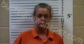 TERRY, JEAN MARIE | 2025-07-11 21:09:00 Cherokee County, North Carolina Booking