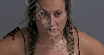 LEKAS, ALYSSA N | 2025-07-11 Sandusky County, Ohio Booking