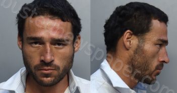 SILVA, DAVID | 2025-07-11 15:09:00 Miami-Dade County, Florida Booking