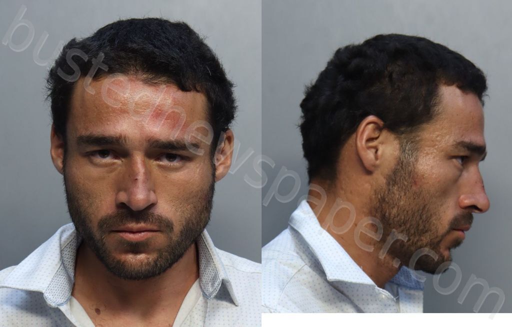 SILVA, DAVID #, Miami-Dade County, Florida - 2025-07-11 15:09:00