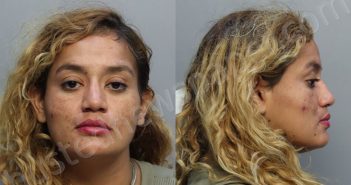 MOJICA, JESSENIA EMELINA | 2025-07-11 18:34:00 Miami-Dade County, Florida Booking