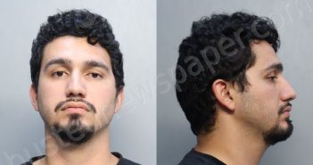 CHACONSTEVENS, GEYSSLER | 2025-07-11 14:12:00 Miami-Dade County, Florida Booking