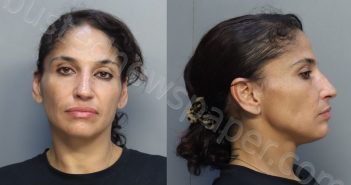 NIEVES, VANESSA | 2025-07-11 20:07:00 Miami-Dade County, Florida Booking