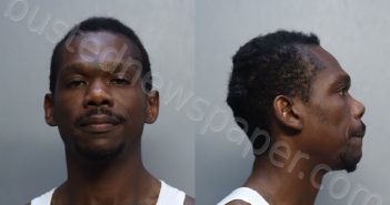 MARTIN, THADDEUS CHAYLON | 2025-07-11 15:14:00 Miami-Dade County, Florida Booking