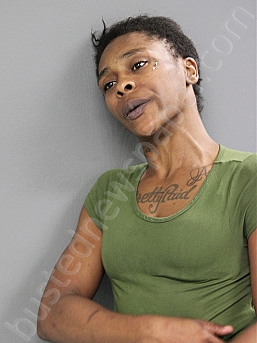 SAMIRAH C DORDEN #, Chicago, Illinois - 2025-07-11