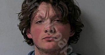 LOFFING, THOMAS DAVID | 2025-07-12 00:18:23 Logan County, Ohio Booking