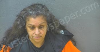 PEREZ, VICKIE DIANE | 2025-07-13 02:10:00 Lynchburg, Virginia Booking