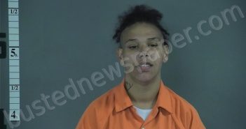 HENDERSON, JANET SHANTE | 2025-07-13 03:02:00 Western Tidewater, Virginia Booking