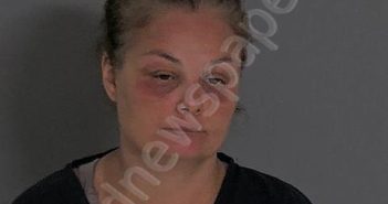 VANELLI, AMANDA L | 2025-07-13 Sandusky County, Ohio Booking