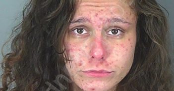 BAILEY NOEL COLLINS | 2025-07-13 16:12:10 Spartanburg County, South Carolina Booking