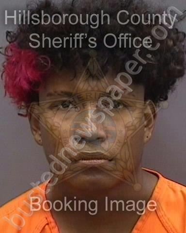 MEJIA MARTINEZ,LEXI #, Hillsborough County, Florida - 2025-07-13 03:15:00
