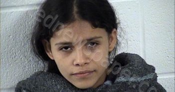 ROSA MENJIVAR, YENI GISSELL | 2025-07-14 Chase County, Kansas Booking