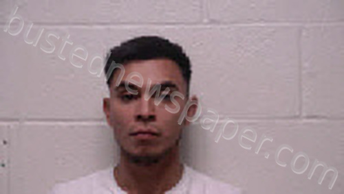 VARGAS PONCE, LUIS ORLANDO #, Robertson County, Tennessee - 2025-07-14 14:18:00